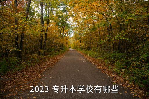 2023 專升本學(xué)校有哪些