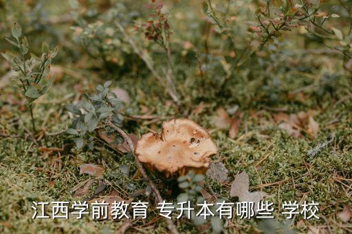 幼師的專升本學(xué)校多嗎,河南幼師專升本可以考哪些學(xué)校