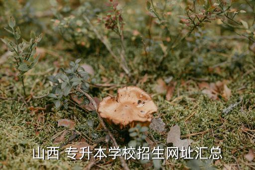 山西 專升本學校招生網(wǎng)址匯總