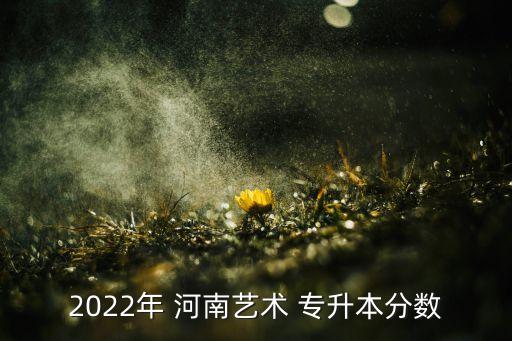 2022年 河南藝術(shù) 專升本分數(shù)