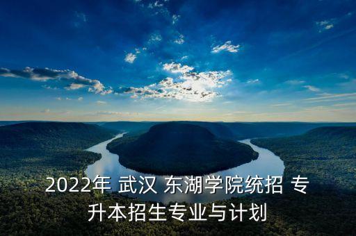 2022年 武漢 東湖學(xué)院統(tǒng)招 專(zhuān)升本招生專(zhuān)業(yè)與計(jì)劃