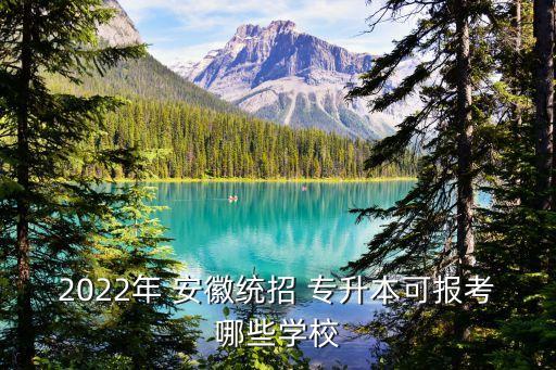 安徽有專升本的本科院校,安徽專升本電子商務(wù)可以考哪些本科院校