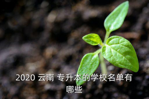 2020 云南 專升本的學(xué)校名單有哪些