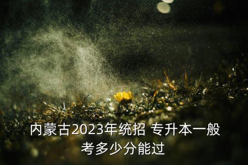  內(nèi)蒙古2023年統(tǒng)招 專升本一般考多少分能過