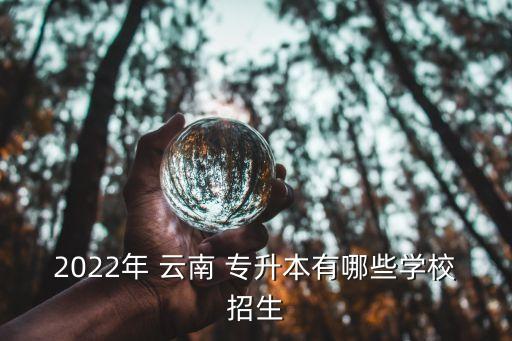 2022年 云南 專升本有哪些學(xué)校招生