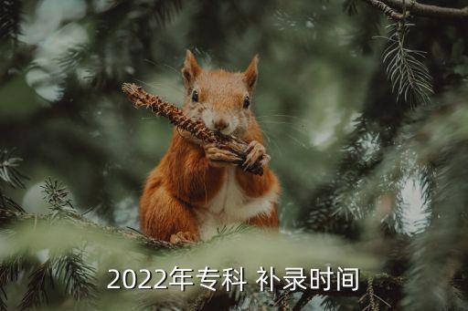 2022年專(zhuān)科 補(bǔ)錄時(shí)間