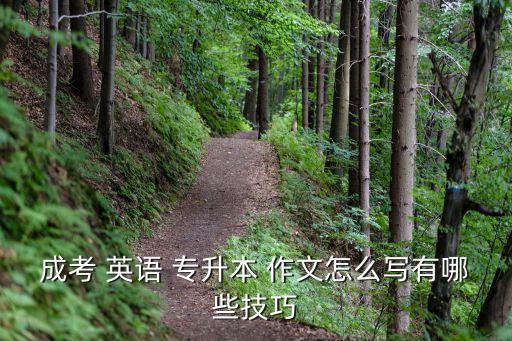 山東專升本的英語作文