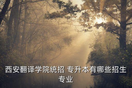 西安翻譯學院統(tǒng)招 專升本有哪些招生專業(yè)