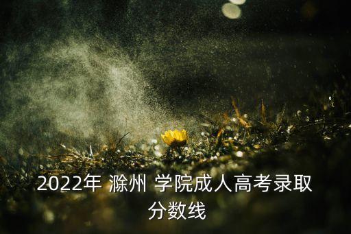 2022年 滁州 學院成人高考錄取 分數(shù)線