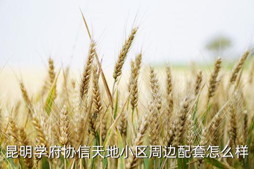 昆明學(xué)府協(xié)信天地小區(qū)周邊配套怎么樣