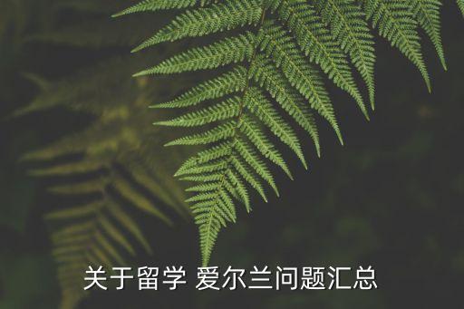 專升本去愛爾蘭,愛爾蘭專升本國內(nèi)可以認證么