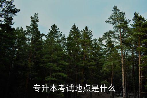  專(zhuān)升本考試地點(diǎn)是什么